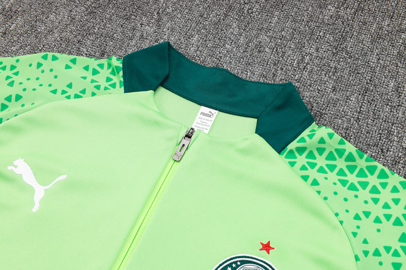 Conjunto de Treino Palmeiras 24/25 Verde - Blusa e Calça