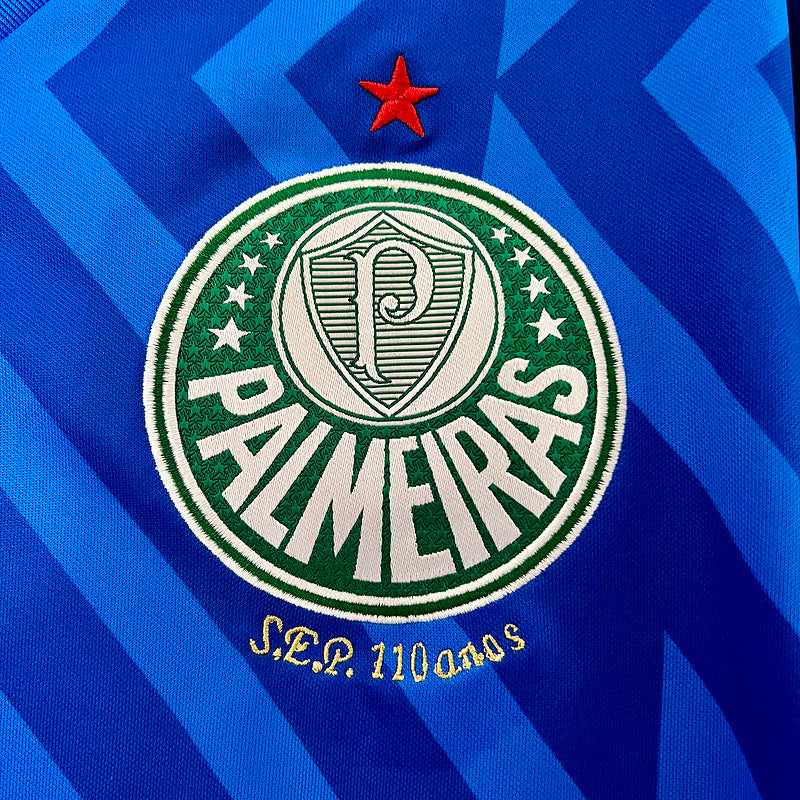 Camisa de Goleiro Palmeiras 24/25 Puma - Azul