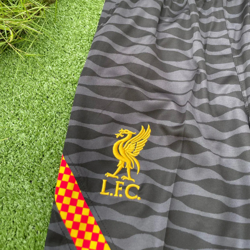 Kit Treino Liverpool 22/23 Cinza